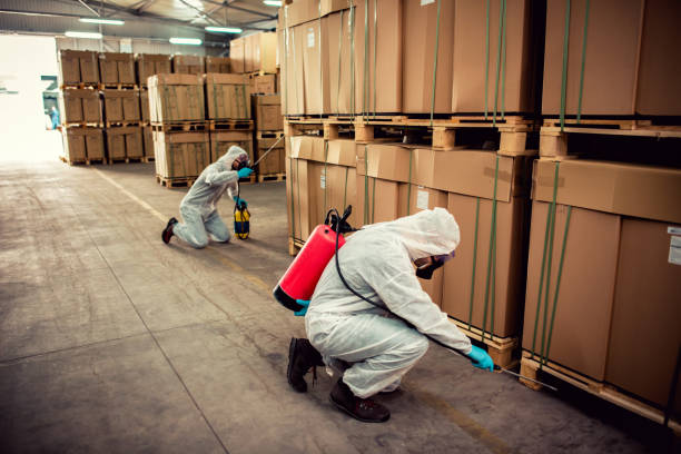 Best Mosquito Control Services  in Nett, MO