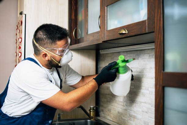 Best Emergency Pest Control  in Nett, MO