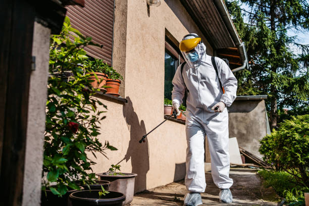 Best Residential Pest Control  in Nett, MO