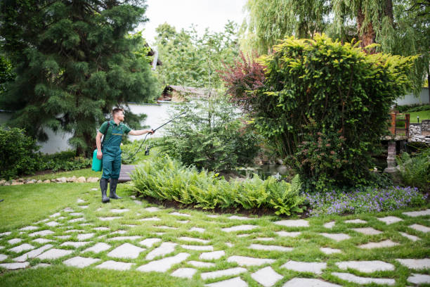 Best Affordable Pest Control Services  in Nett, MO