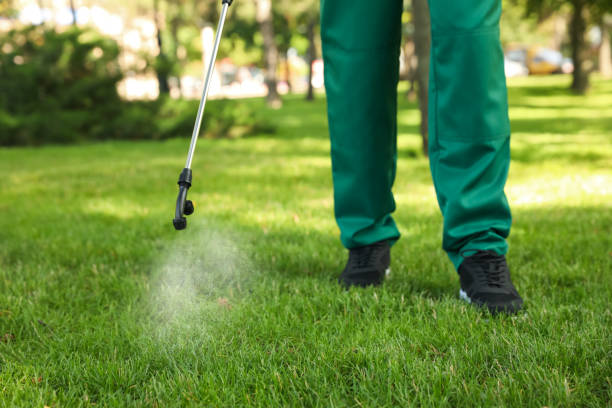 Best Flea Control Services  in Nett, MO