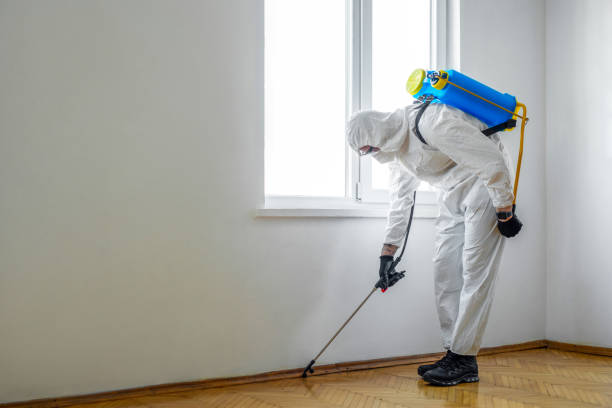 Best Wildlife Control Services  in Nett, MO