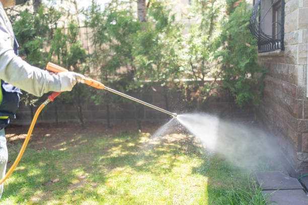 Best Pest Control Near Me in Monett, MO