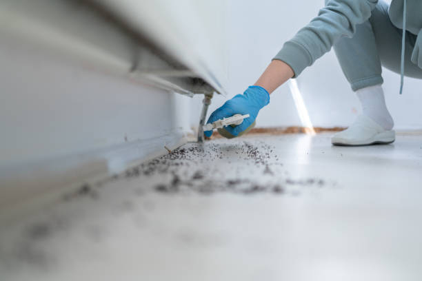 Best Emergency Pest Control  in Nett, MO