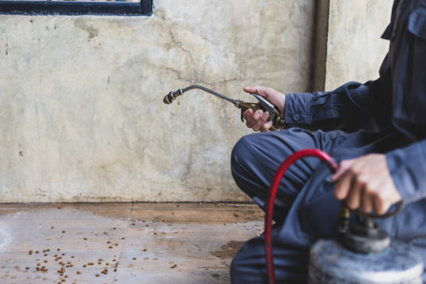 Best Pest Control for Homes  in Nett, MO