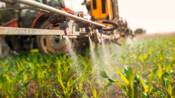 Best Pest Removal Services  in Nett, MO