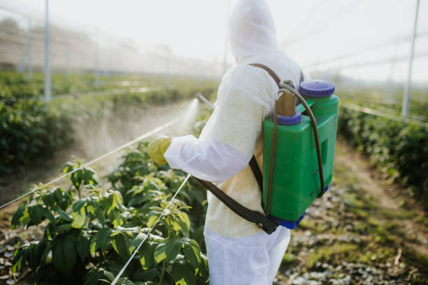 Best Wildlife Control Services  in Nett, MO